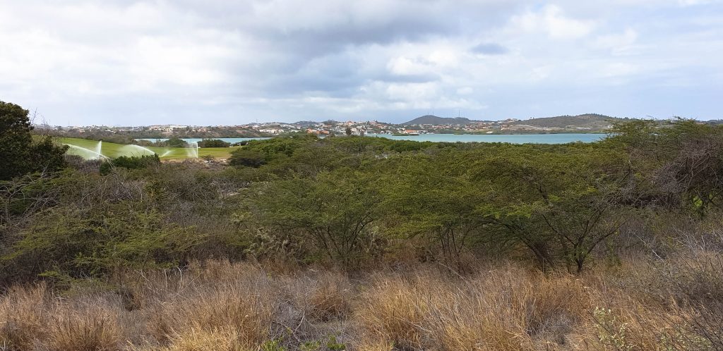 Aan de oostkust is een baai met een golf course