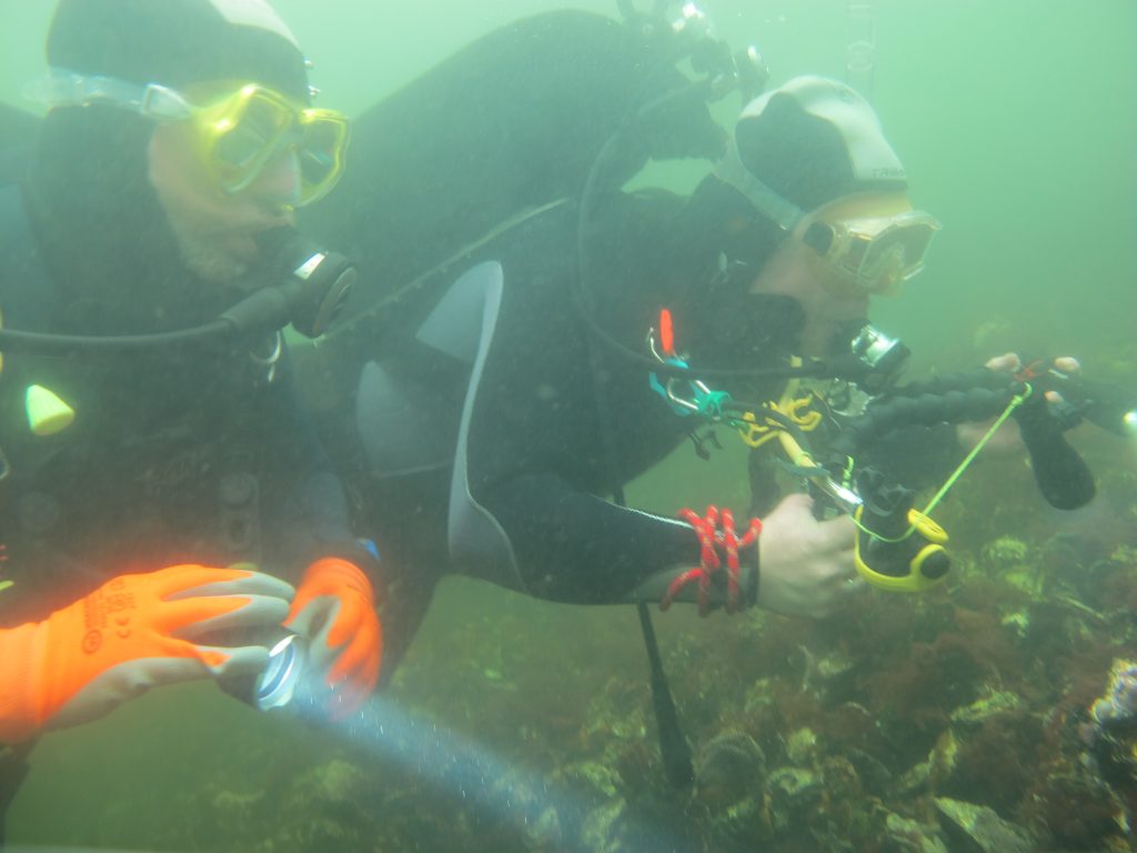 twee duikers die het onderwaterleven bewonderen. Vaardigheden 1*-opleiding.